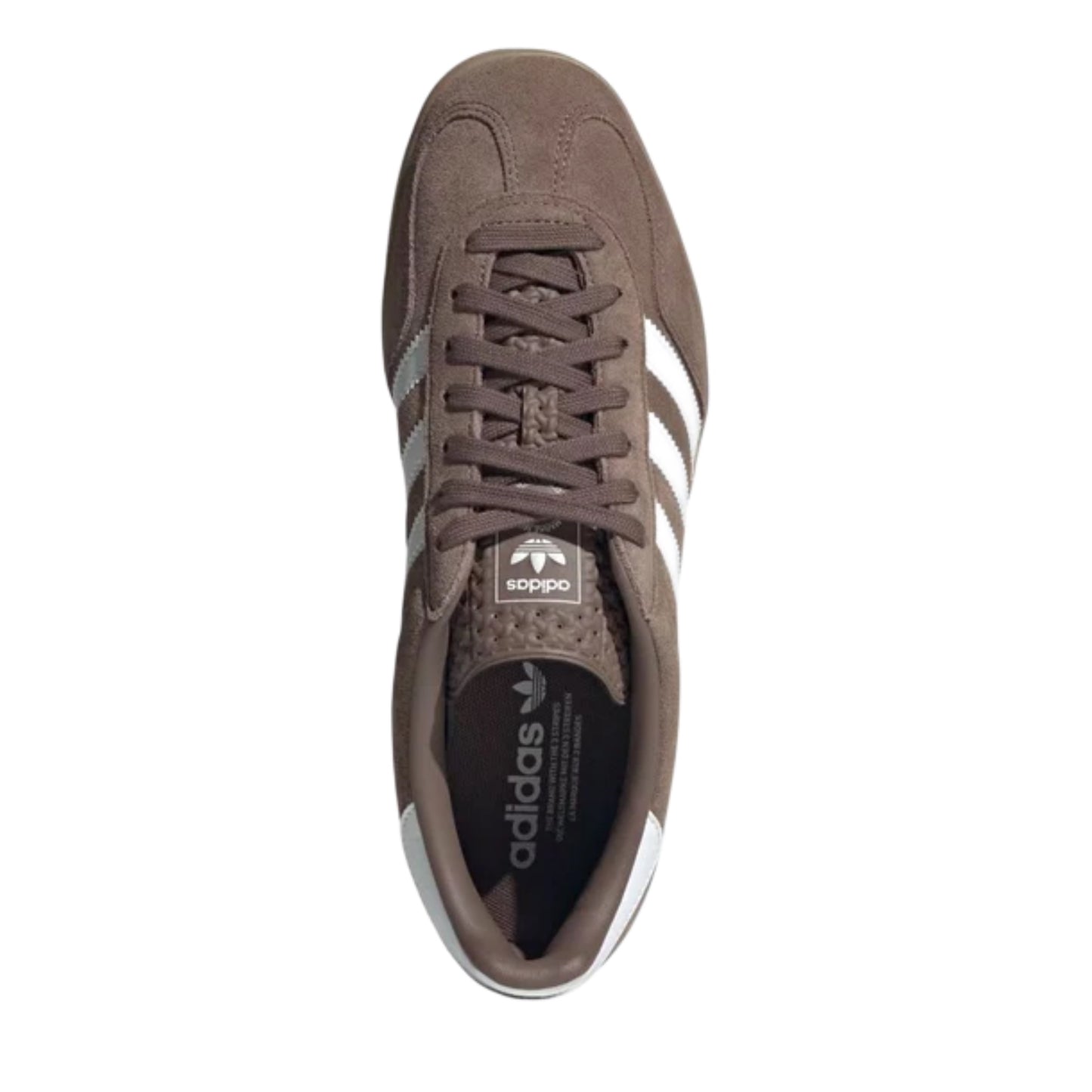 GAZELLE INDOOR