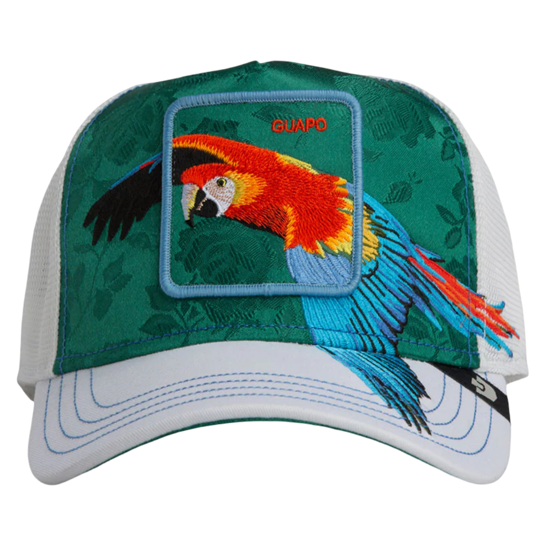 HONDURAS MACAW