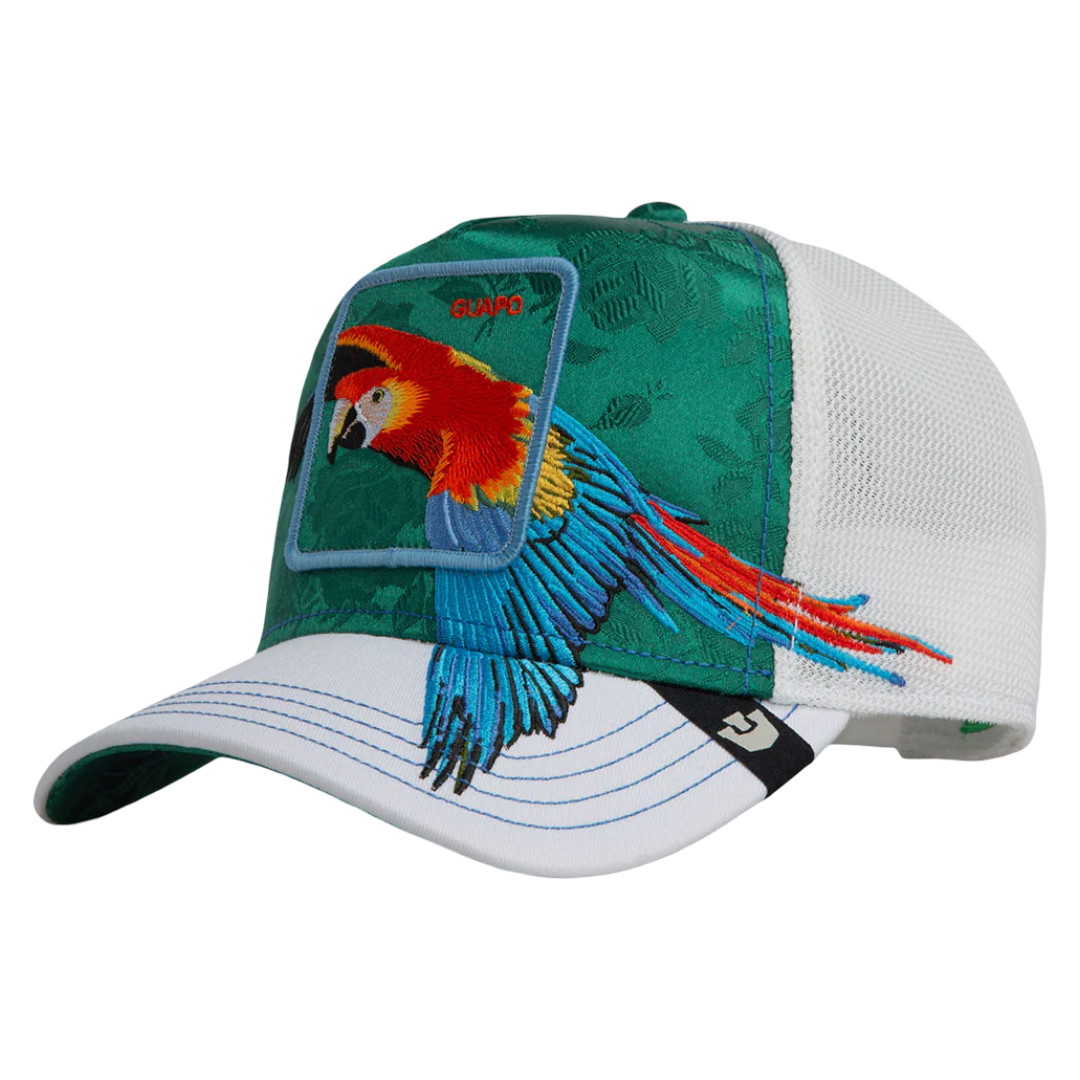 HONDURAS MACAW