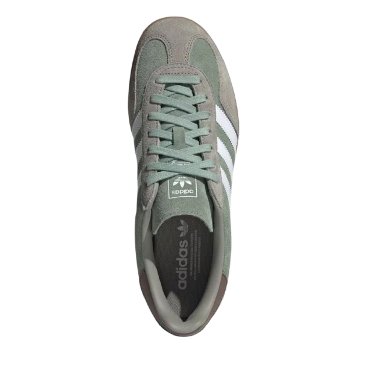 GAZELLE INDOOR