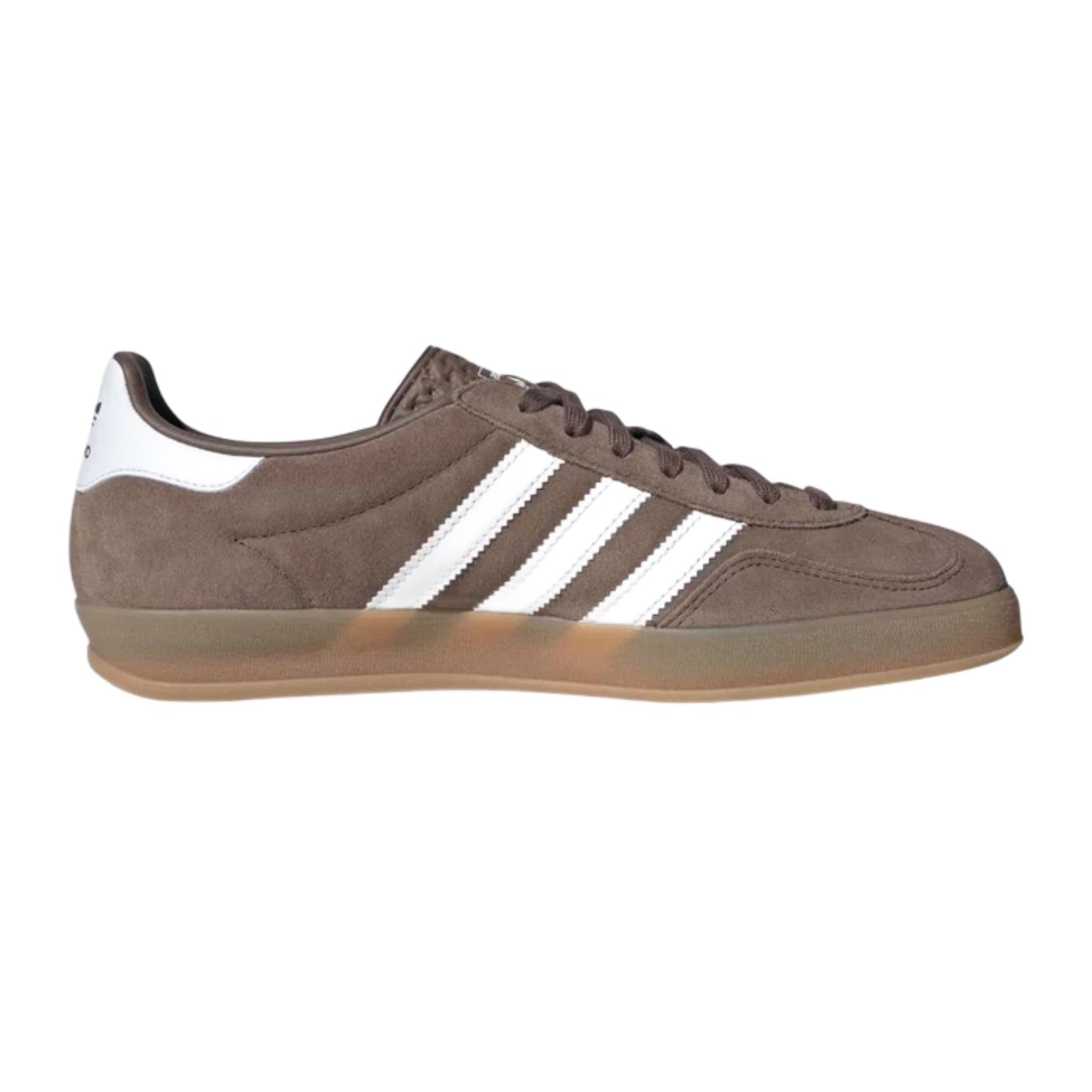 GAZELLE INDOOR