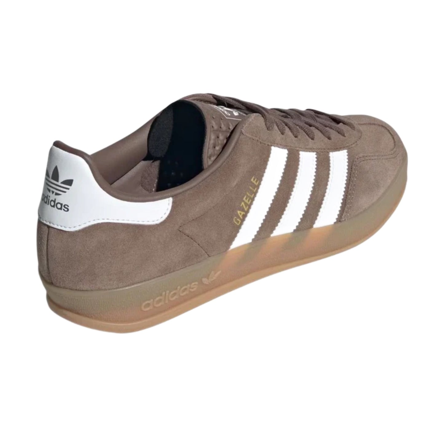 GAZELLE INDOOR